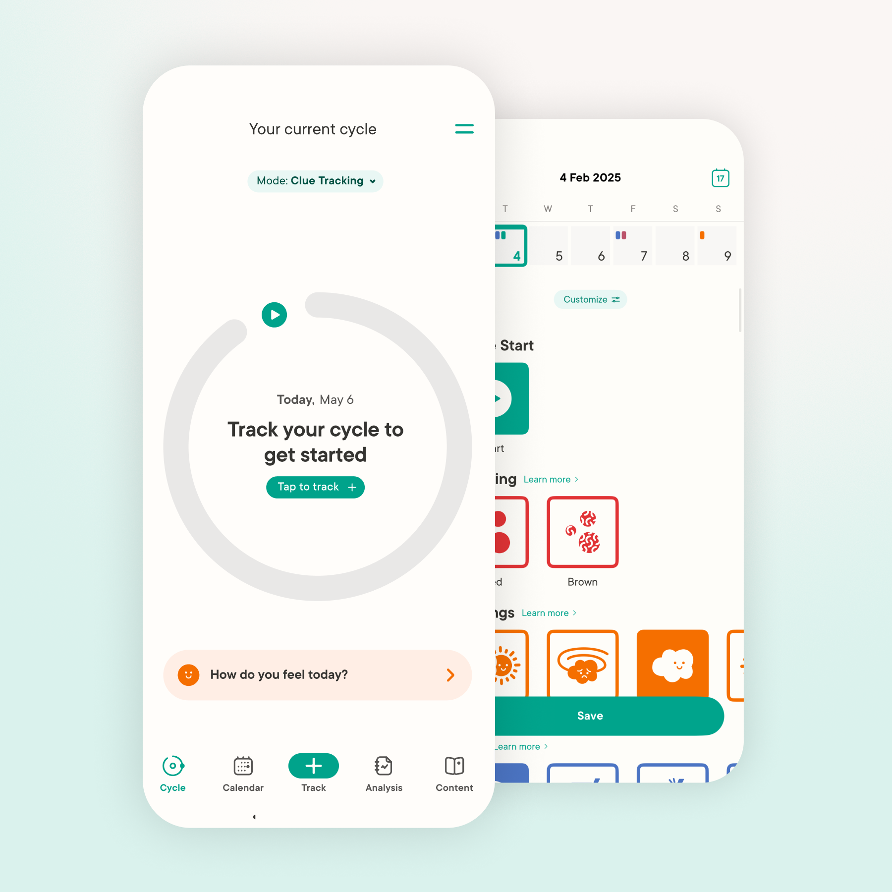 Clue Plus Annual Subscription