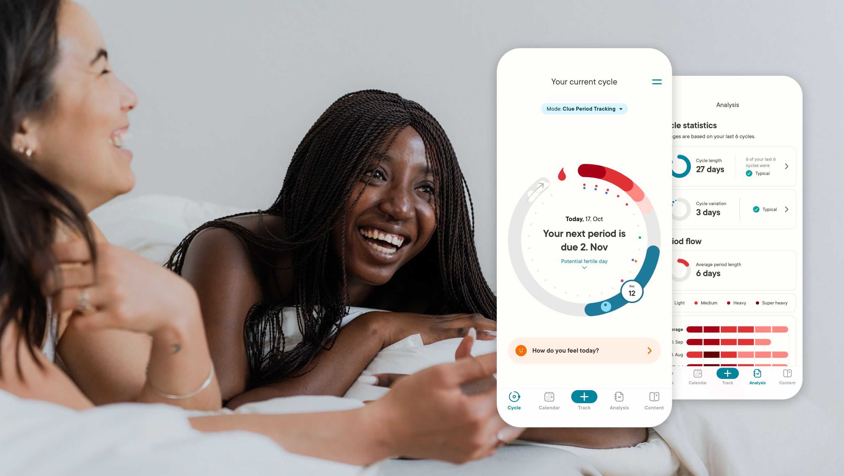 Clue Plus Annual Subscription