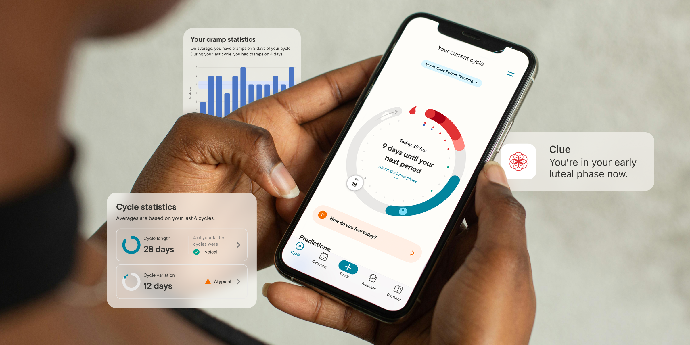 Clue Plus Annual Subscription